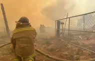 Incendios forestales en Tecate continan fuera de control: Bomberos