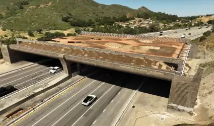 Cruce de vida silvestre