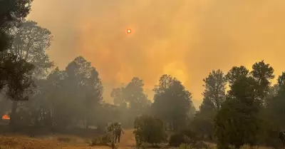 Avanza control del incendio forestal "Guadalajara 2" en Tecate