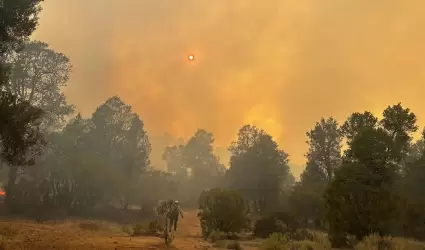 Avanza control del incendio forestal "Guadalajara 2" en Tecate