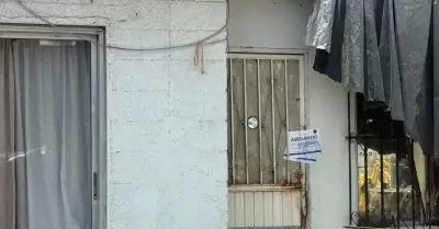 Cateo por maltrato animal y rescata a tres caninos