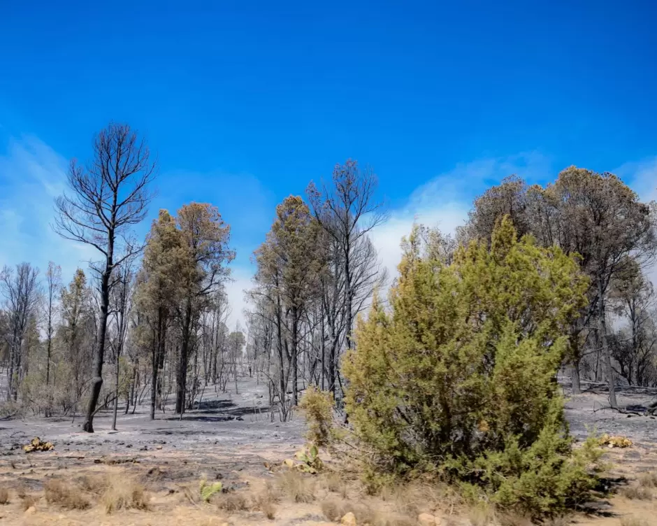 Avanza control del incendio "Guadalajara 2"