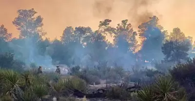 Control del incendio forestal en Tecate