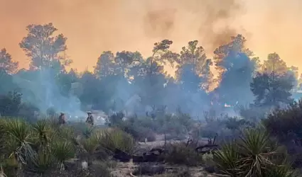 Control del incendio forestal en Tecate