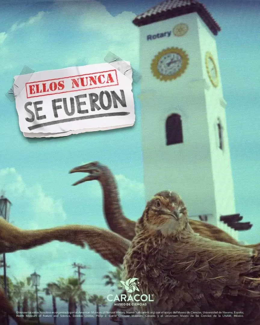 Museo Caracol