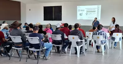 Certifican de legal propiedad a ganaderos del sur de San Quintn