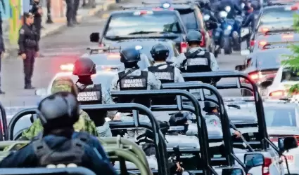 Ley de la Guardia Nacional