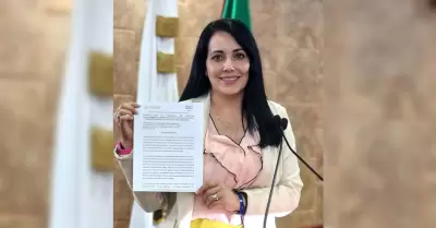 Diputada María Yolanda Gaona Medina