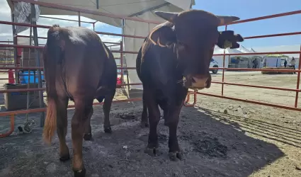 Expo Agro San Quintn 2025