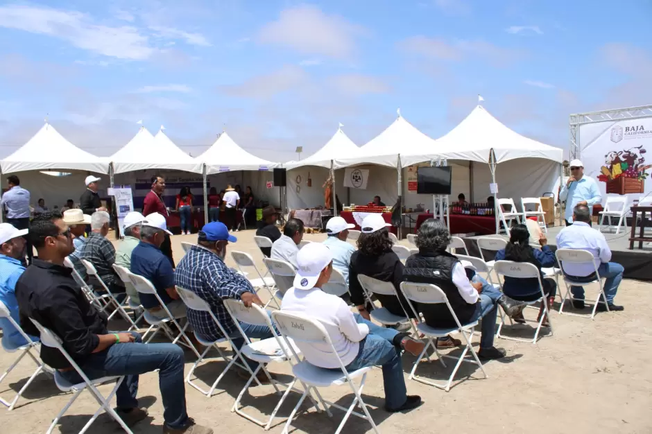 Expo Agro San Quintín 2025