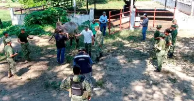 Secretaría de Agricultura y Desarrollo Rural (AGRICULTURA) y la Secretaría de la