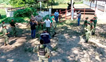 Secretara de Agricultura y Desarrollo Rural (AGRICULTURA) y la Secretara de la