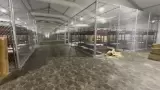 Centro de detenci�n "Alligator Alcatraz", en Florida