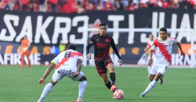 Xolos