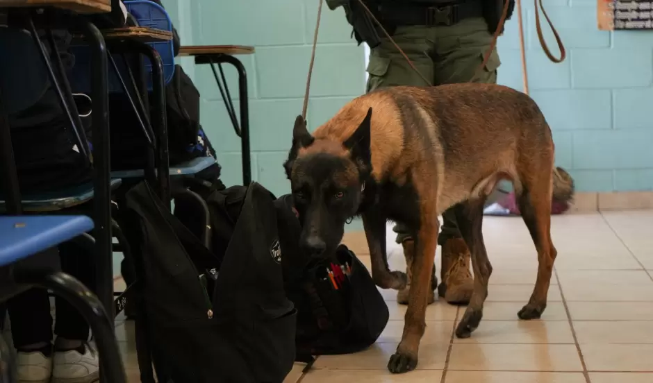Acciones preventivas en planteles educativos para fortalecer la seguridad escolar