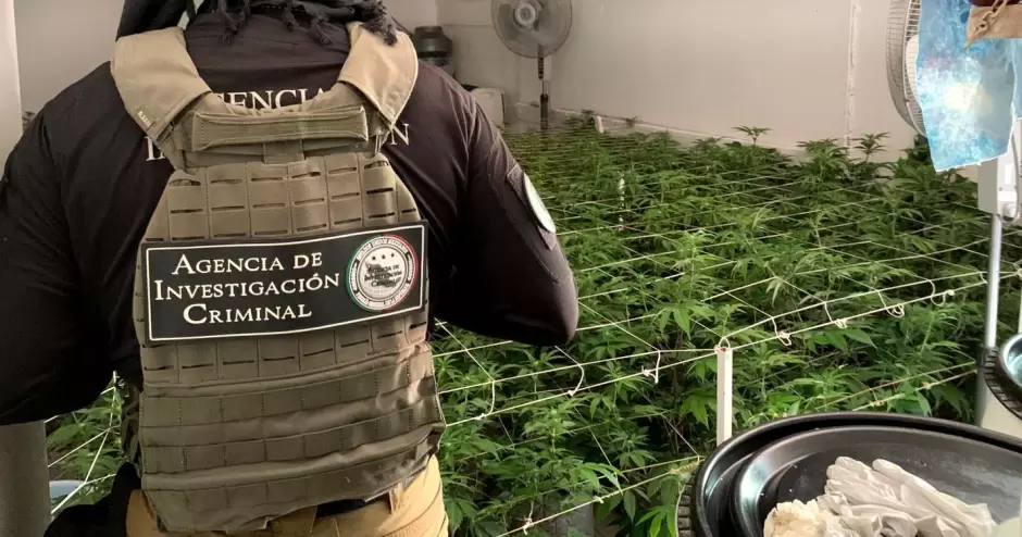 Cateos y aseguramientos en la zona Noroeste durante el mes de junio