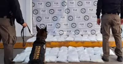 Cateos y aseguramientos en la zona Noroeste durante el mes de junio