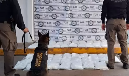 Cateos y aseguramientos en la zona Noroeste durante el mes de junio