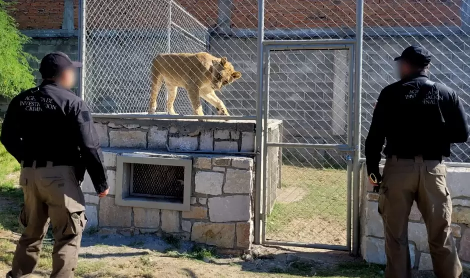 Cateos y aseguramientos en la zona Noroeste durante el mes de junio