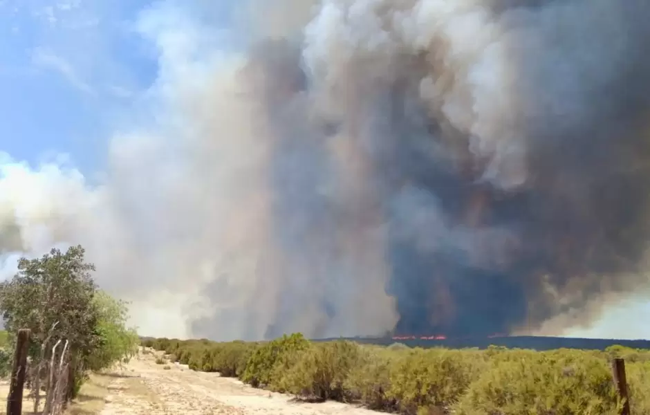 Incendio forestal en ejido Baja California