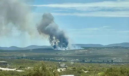 Incendio forestal en ejido Baja California