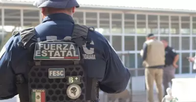Rescatan dos jaguares en Mexicali