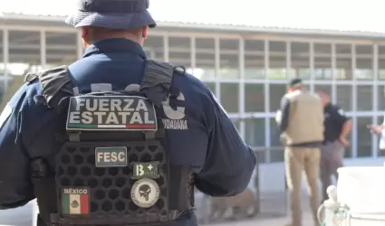 Rescatan dos jaguares en Mexicali