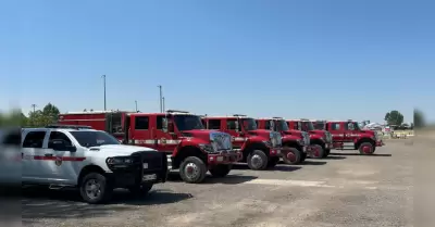 Bomberos de California