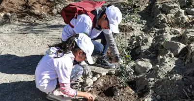 Reforestacin en parque de Tijuana