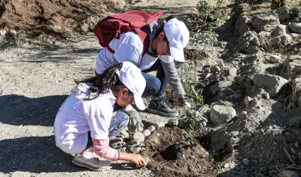 Reforestacin en parque de Tijuana