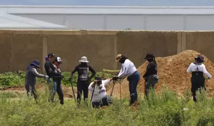 Guerreros Buscadores