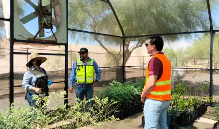 Vivero
