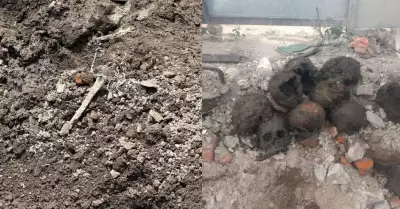 Restos óseos encontrados en Ciudad de México
