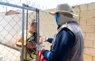 Refuerza SS BC acciones contra la rickettsiosis en Tijuana