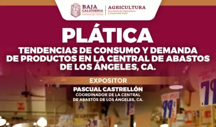Pltica sobre requerimientos para comercializar en la Central de Abastos de Los 