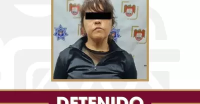 Detenida tras intento de robo en Camino Verde