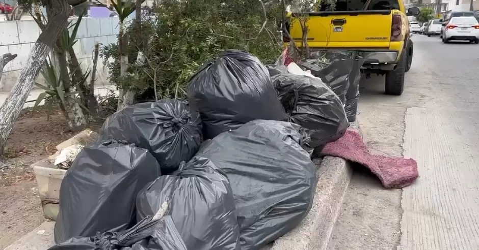 Camino Verde