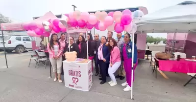 Mdulo Rosa
