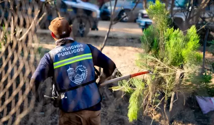 Jornada Rosas Magalln