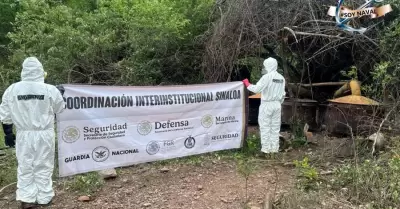 Narcolaboratorio en Culiacán