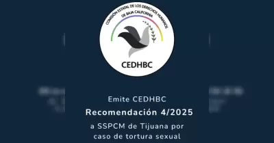 Recomendación 4/2025