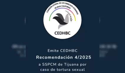 Recomendacin 4/2025