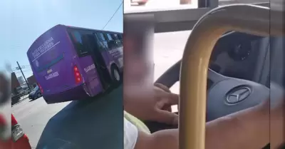 Conductor de Transporte Violeta fue captado viendo contenido para adultos mientr