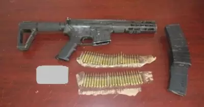 Armas y cartuchos