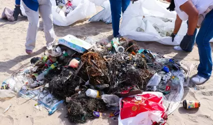 Limpieza y conservacin de sus playas