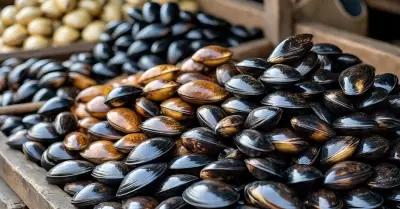 Mariscos