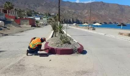 Espacios pblicos de Isla de Cedros