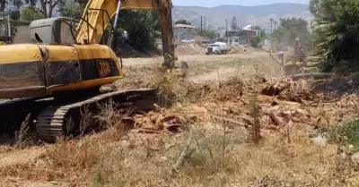 Limpieza de arroyo Ensenada