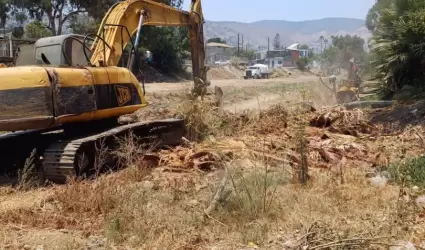 Limpieza de arroyo Ensenada