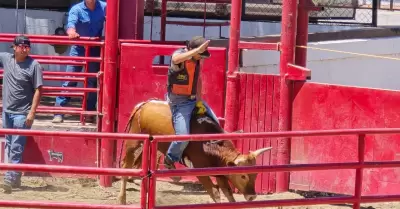 Caliente jaripeo